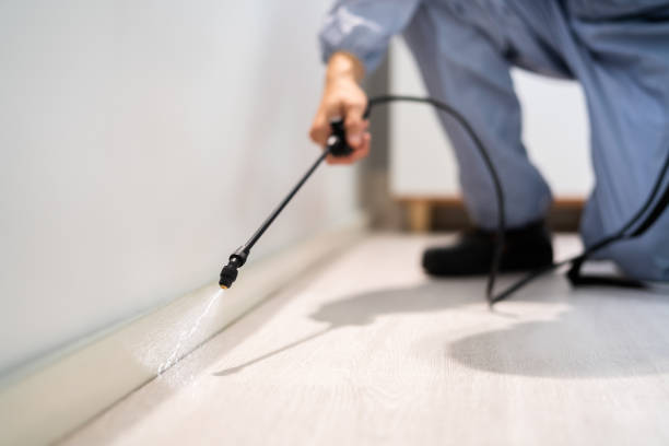 Licensed Termite Control service in Lansdowne, VA - Nex Pest Control