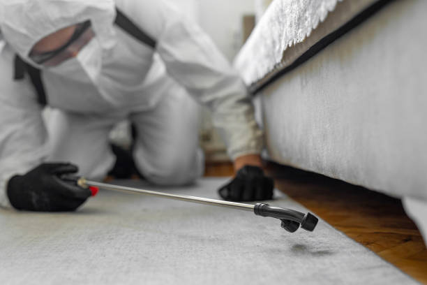 Professional Termite Control technician working in Lansdowne, VA