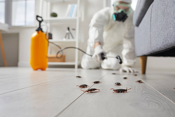 Affordable Termite Control solutions in Lansdowne, VA